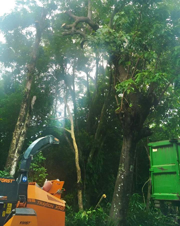 Service de location de broyeur La Réunion