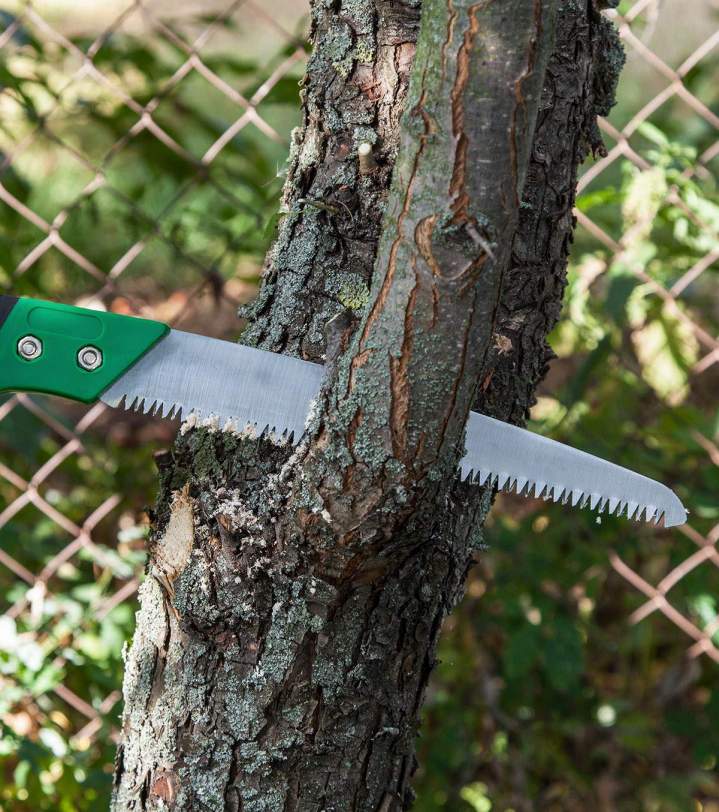 Travaux d'élagage d'arbre La Réunion