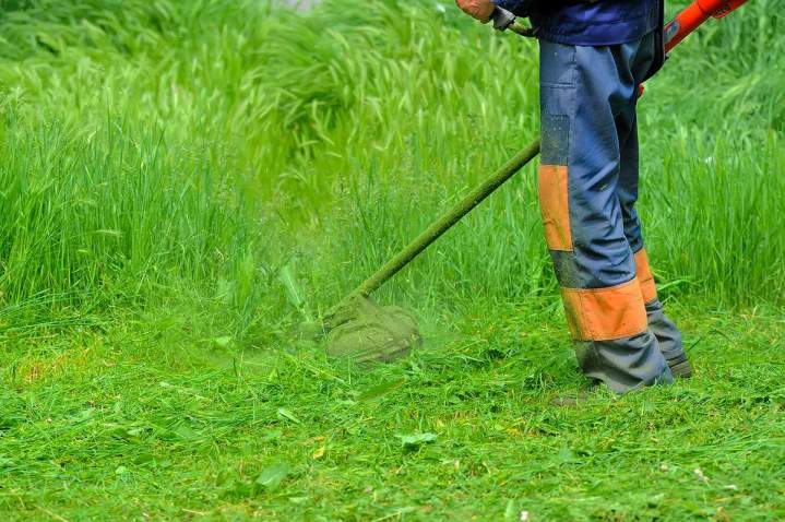 Travaux de débroussaillage La Réunion